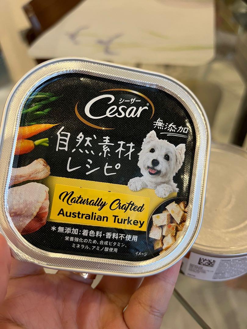 Hills Diet Urgent Care A/D Canine Feline 10 cans, Pet Supplies, Pet