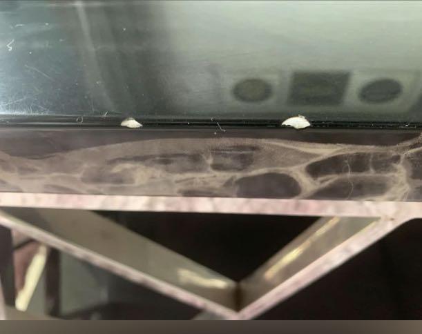 Solid marble table (Category: Tables & Sets) located in Singapore. Submitted by liquid6297 (Listing ID 1135476051, Image 3). Description: Heavy, strong and sturdy table. Table measurement in cm : L120x W65x H38 2 small chips but not visible, please refer to pictures. Please arrange own transportation/delivery..