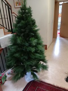 (Category: ) located in . Submitted by piesgestive (Listing ID 1135522361, Image 1). Description: .