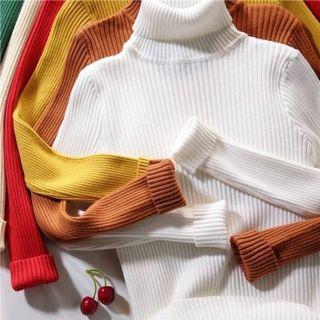 Turtle Neck Knitted