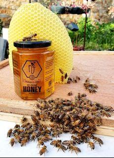 100% Pure Raw Honey