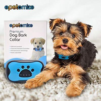 Best anti bark shop collar for yorkie