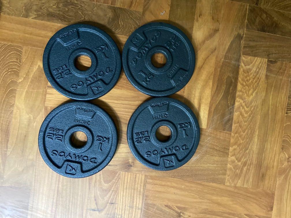 Four 1kg weight plates (cast iron) 28mm from Decathlon, Sports