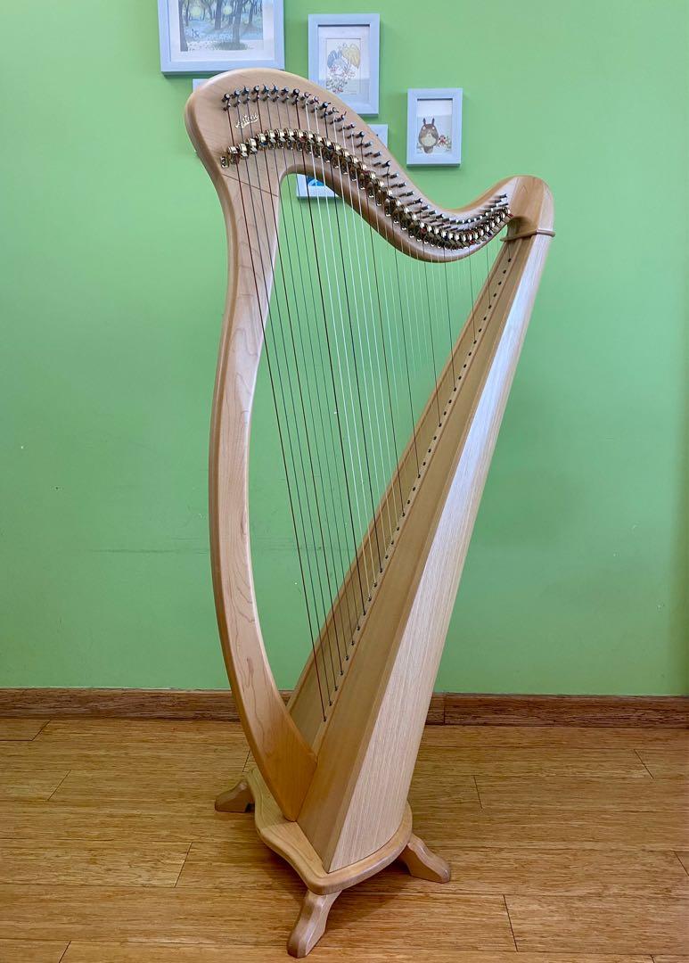 Lever Harp Artone 36A 台灣藝音36弦愛爾蘭豎琴, 興趣及遊戲, 音樂