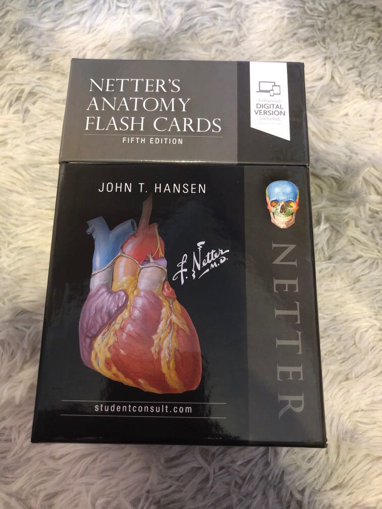 Netter’s Anatomy Flashcards, Hobbies & Toys, Books & Magazines