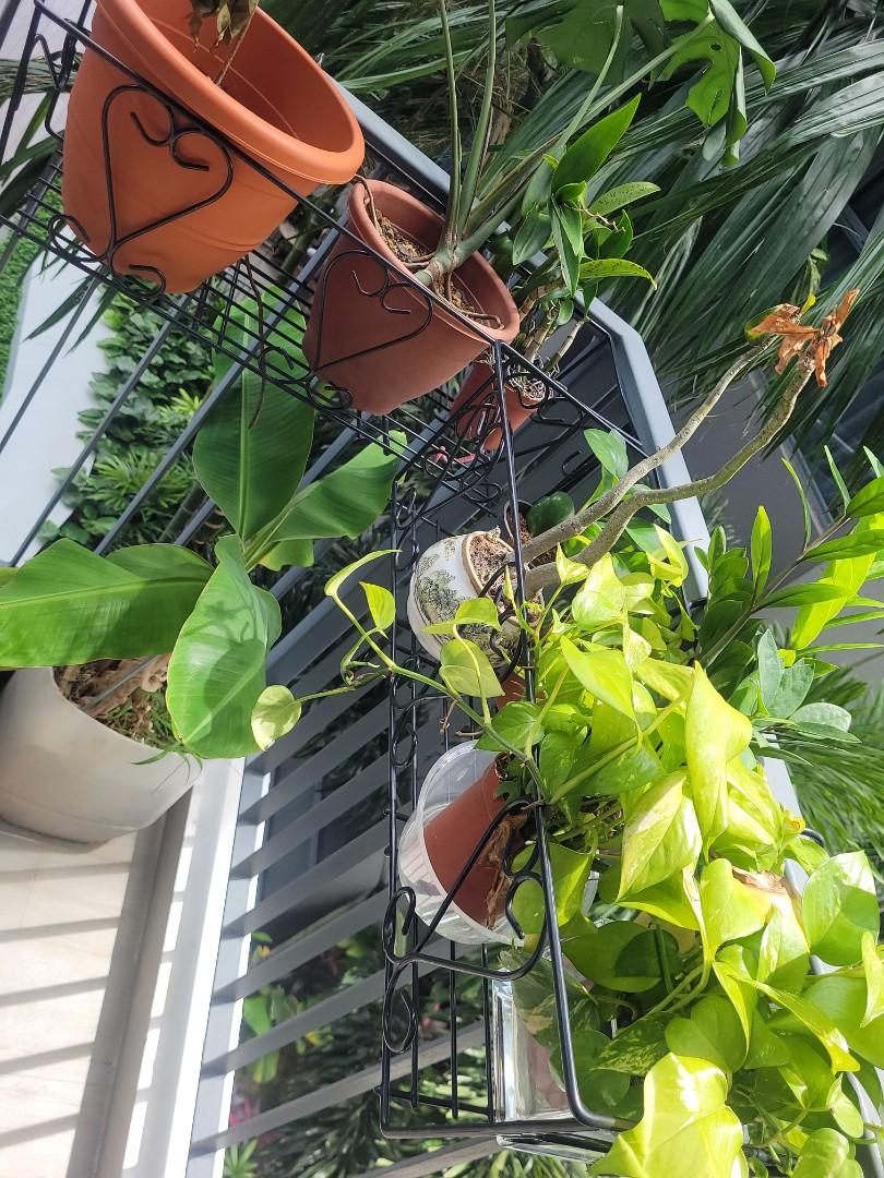 plant hanging rack, Furniture & Home Living, Gardening, Pots & Planters