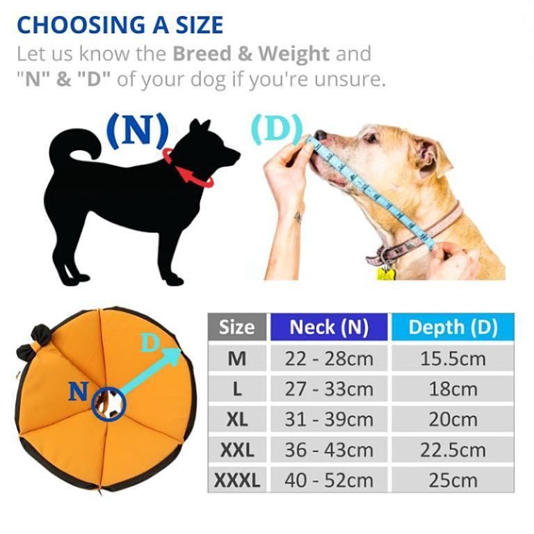 Cheap e shop collar