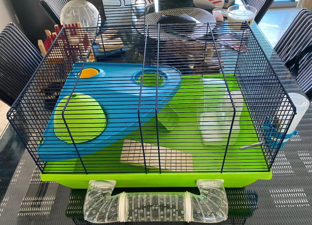 HAMSTER CAGE AND ACCESSORIES FOR SALE Pet Supplies Homes Other