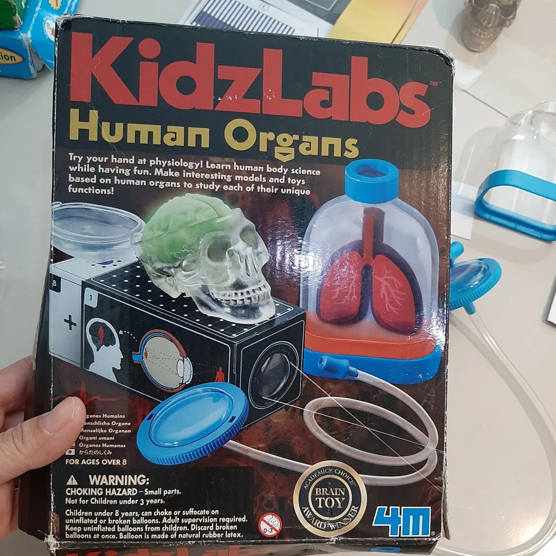 Kidz labs store human organs