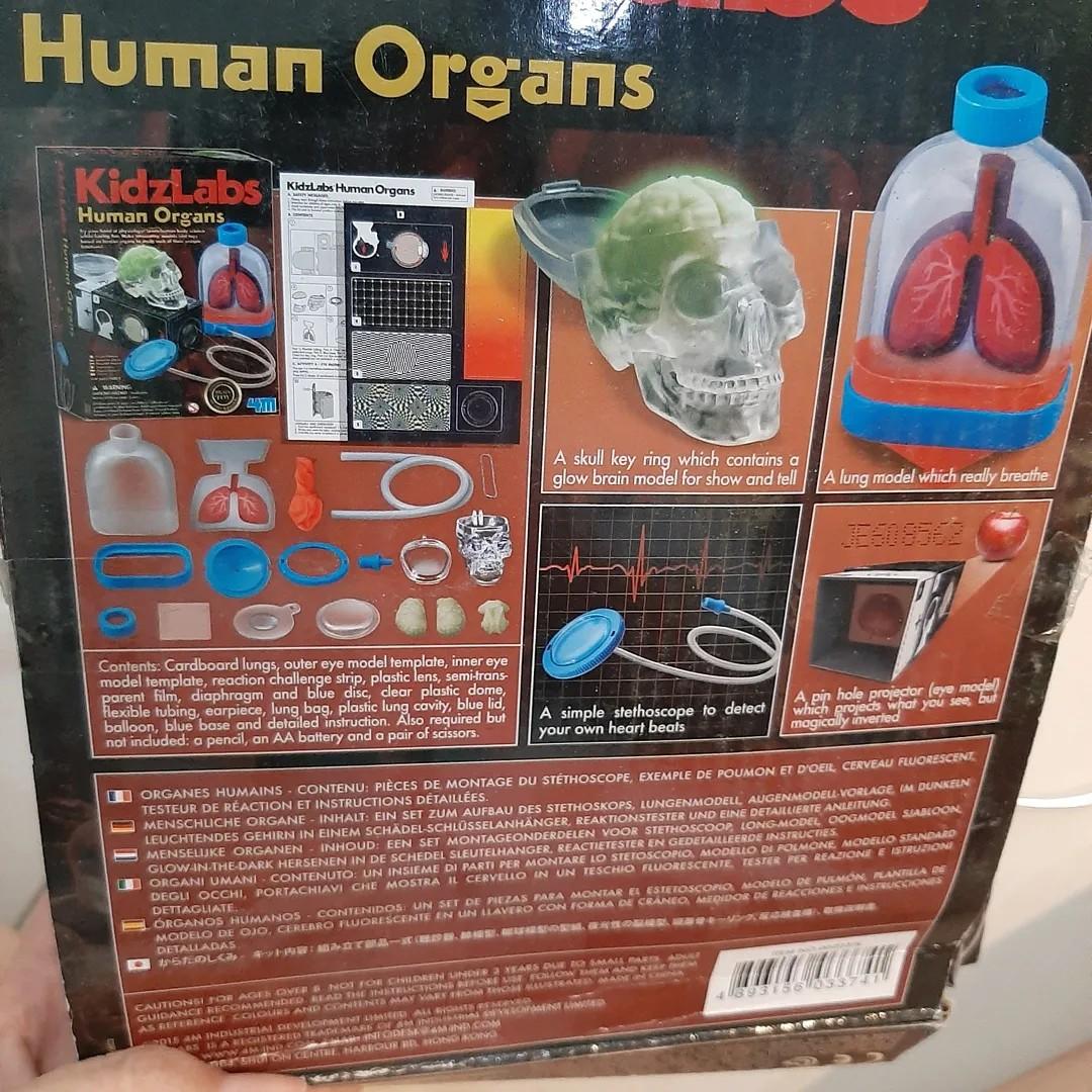 Kidz labs store human organs