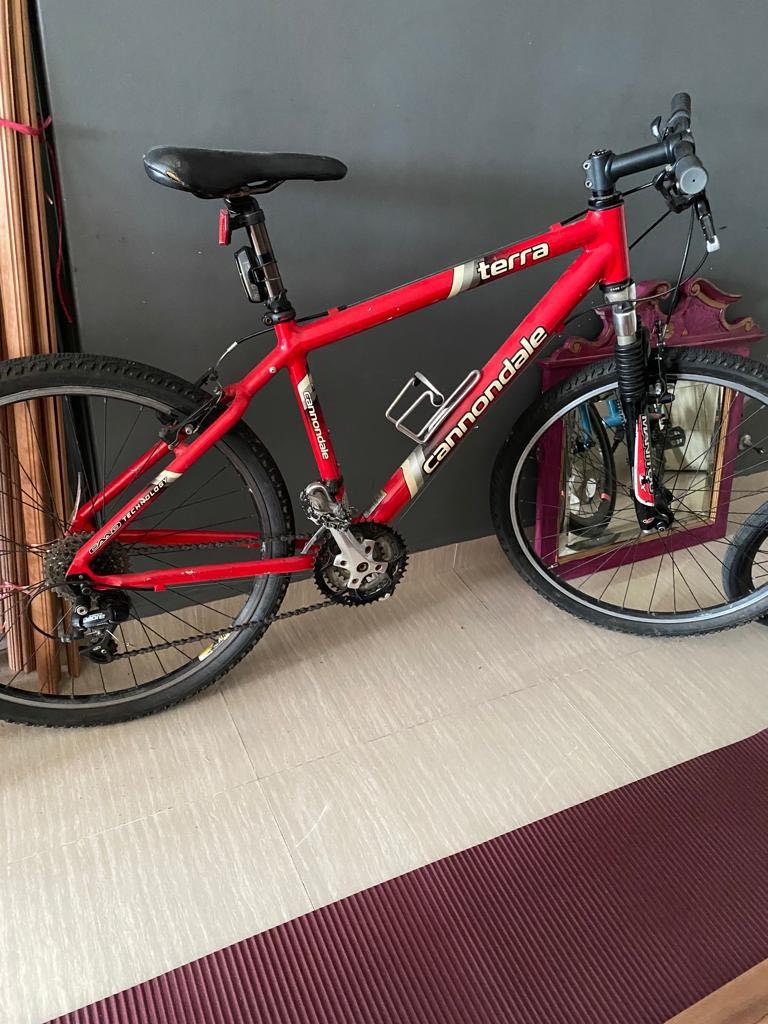 Mountain bike Cannondale Terra