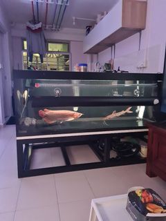 (Category: ) located in . Submitted by anonymous_goalkeeper (Listing ID 1135933504, Image 1). Description: .
