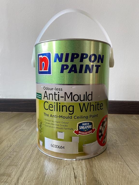 Nippon Paint Odourless AntiMould Ceiling White, 5 litres, Furniture & Home Living, Home