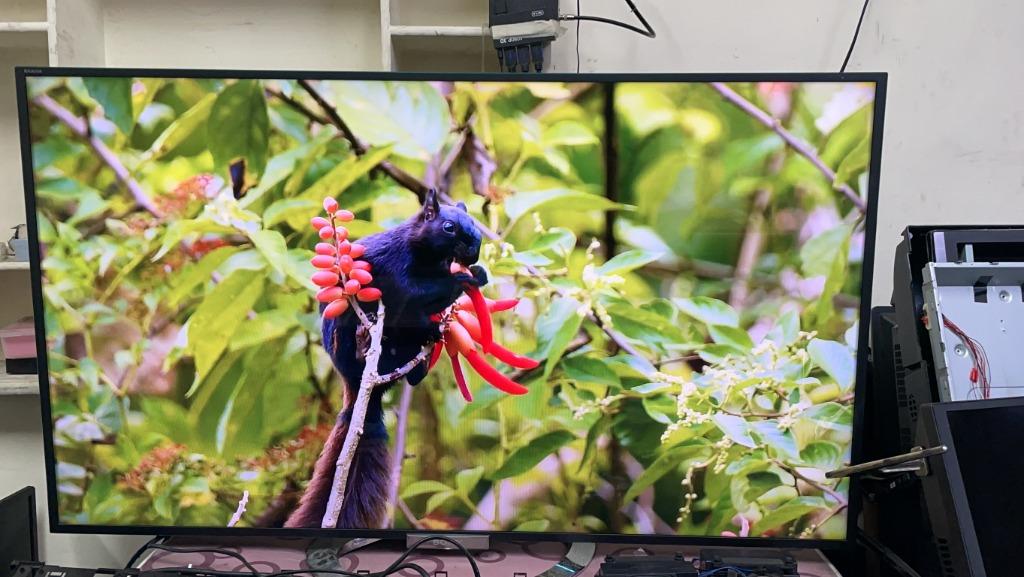 TV BOY 電視維修、買賣- SONY-KDL-55W900A 55吋智慧電視無線上網