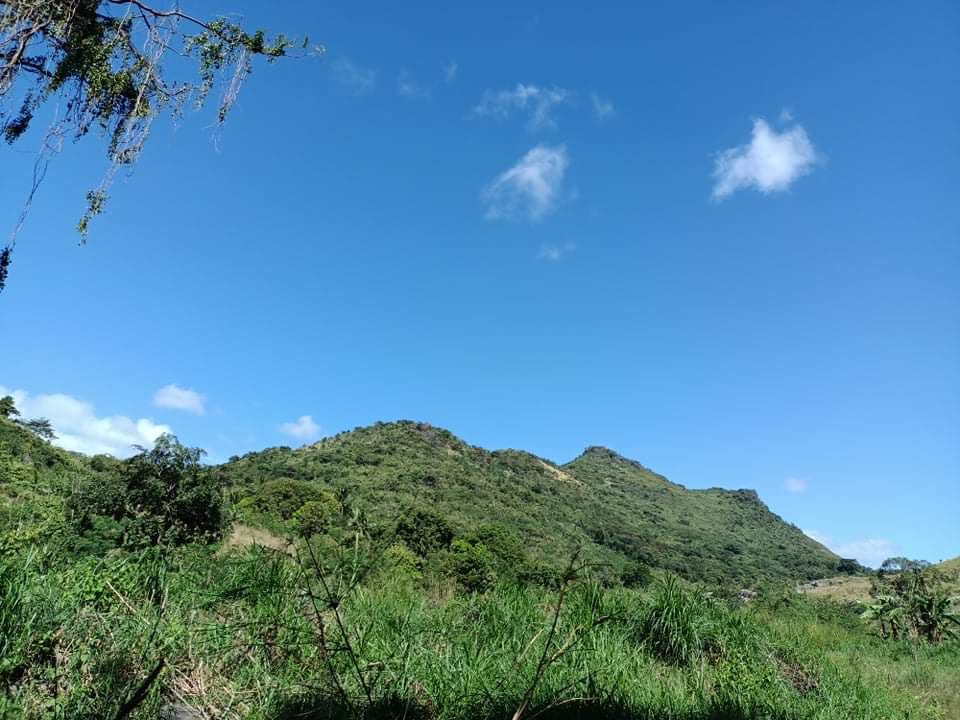 (Category: ) located in . Submitted by heidiharlea (Listing ID 1136015026, Image 1). Description: .