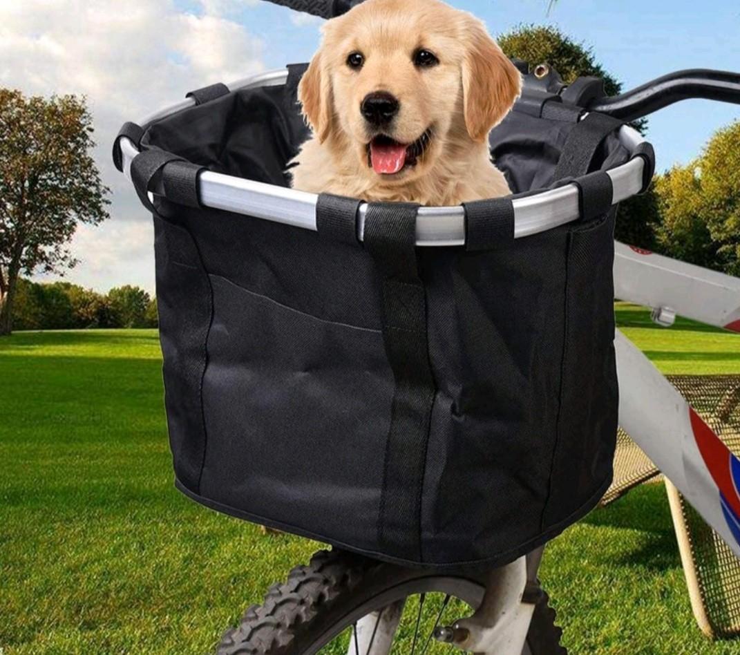 front pet carrier