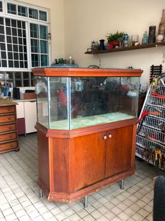 (Category: ) located in . Submitted by jenners (Listing ID 1136069527, Image 1). Description: .