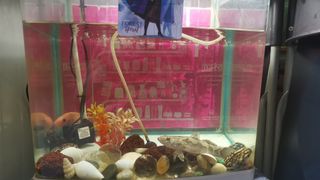 (Category: ) located in . Submitted by sg_jack (Listing ID 1136177448, Image 1). Description: .