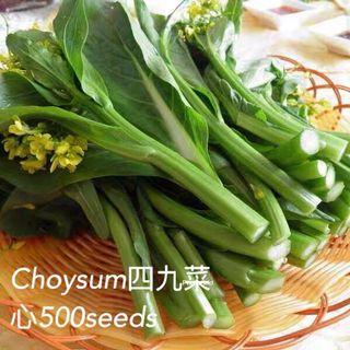 Assorted vegetables seeds offer, $1 each buy 5 get one free 蔬菜种子特价促销， 每包$1， 买5送一