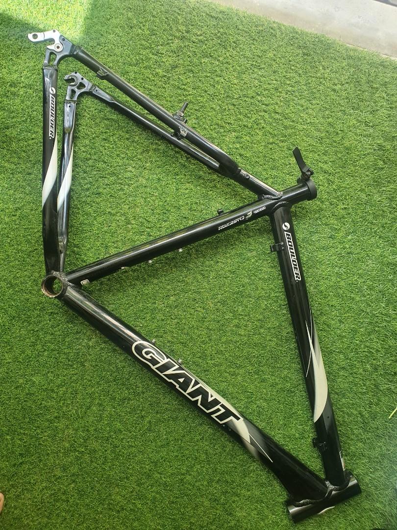 Giant 21 inch frame 2025