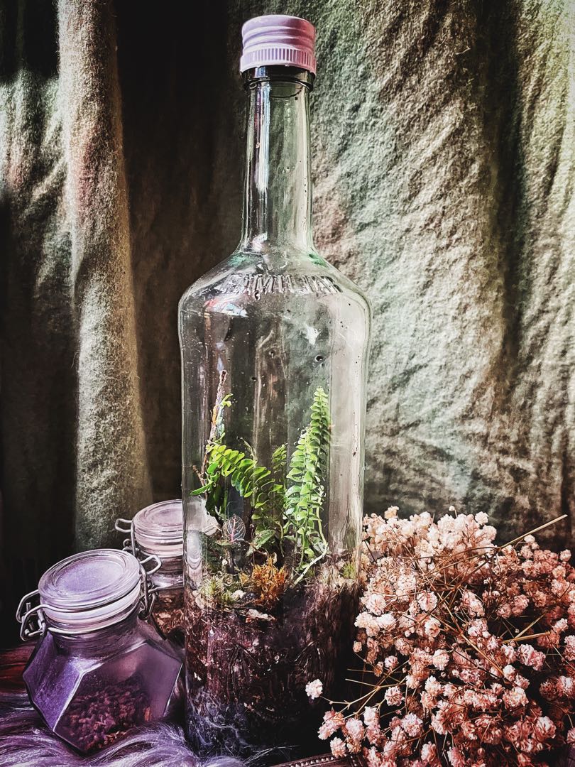 Liquor bottle terrarium Intoxicated by You series, Furniture & Home