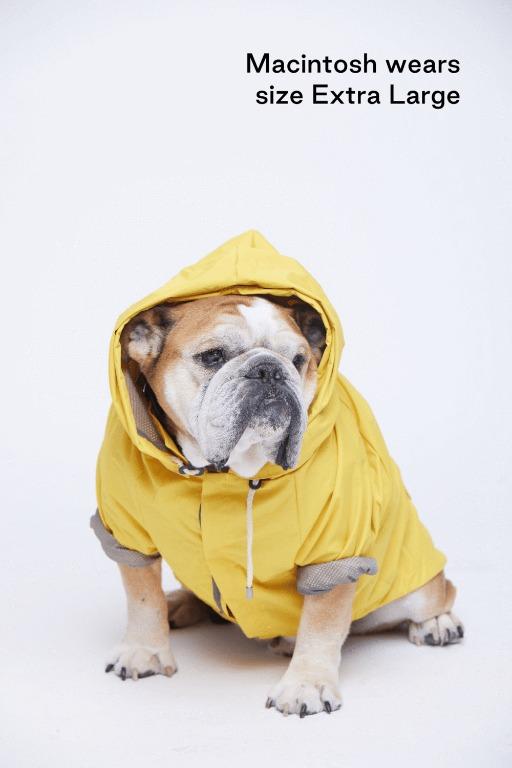 Max bone raincoat outlet