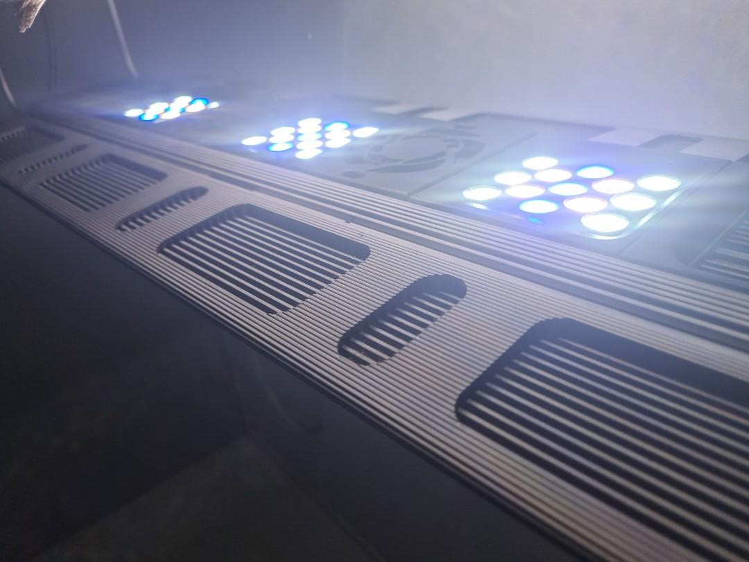 Maxspect Razor R420R 160W 8000k, Pet Supplies, Homes & Other Pet ...