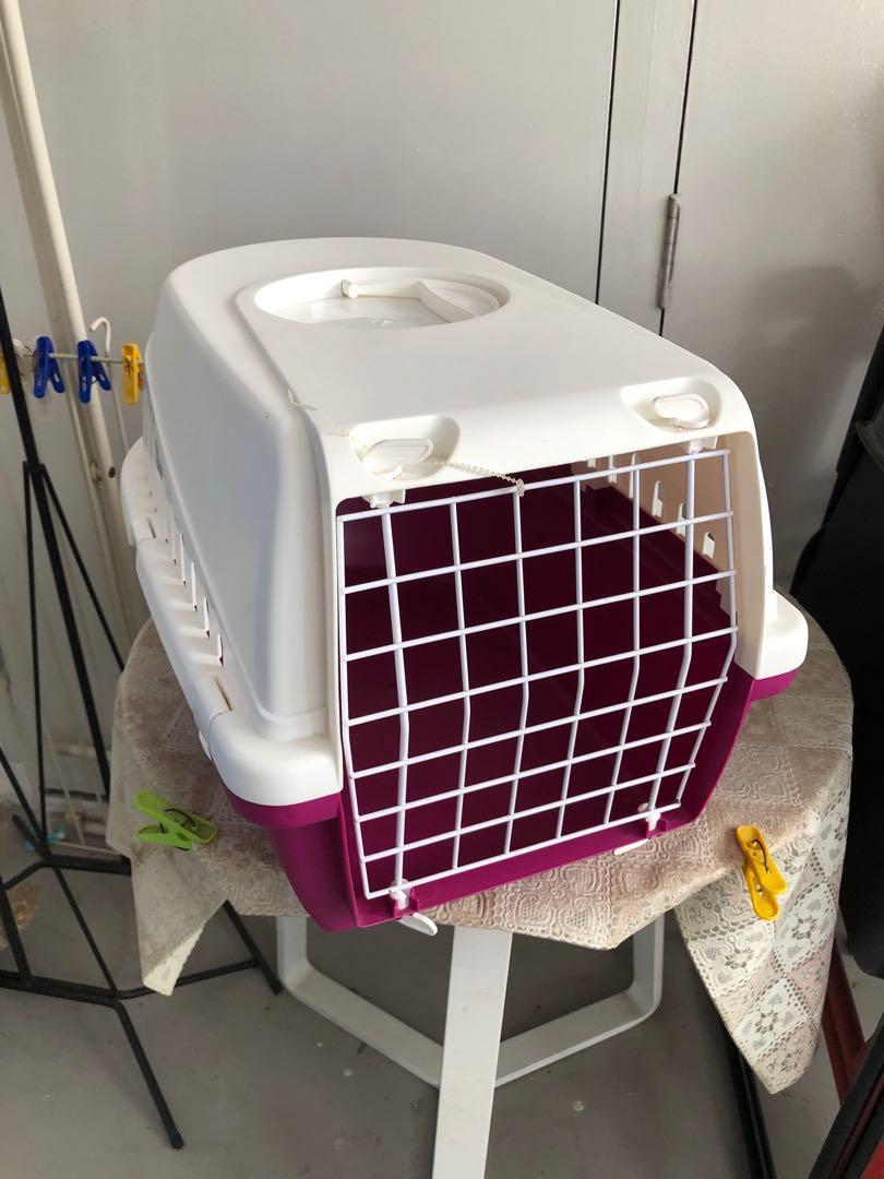 rabbit carrier wilko