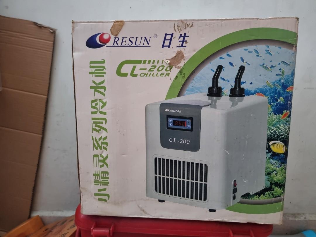 cockatiel bird carrier