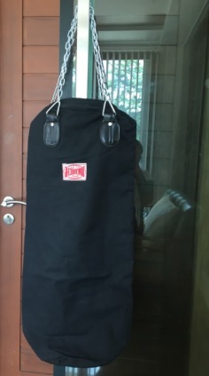 Punching Bags & Mitts  Collection item 2