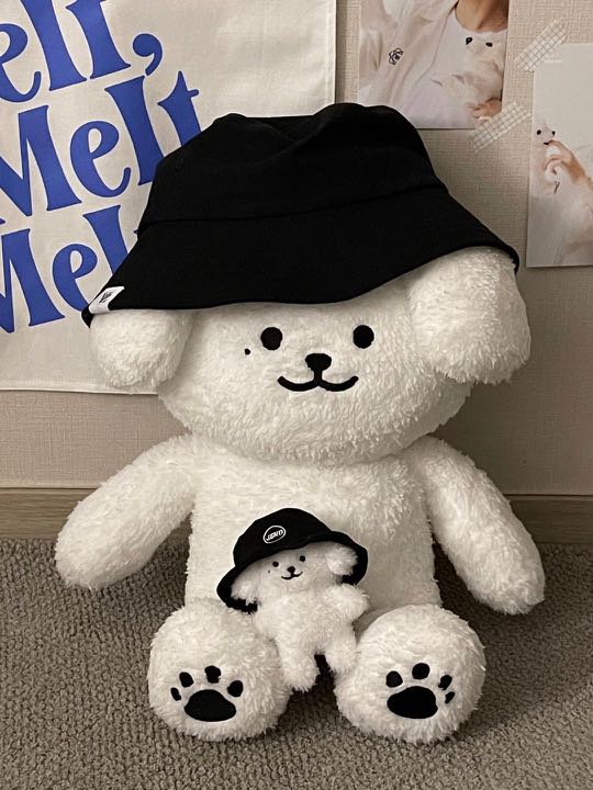sg go] zzangmong 40cm & jenmong 10cm doll by @jenmonglee jeno nct dream 40  10, Hobbies & Toys, Memorabilia & Collectibles, K-Wave on Carousell