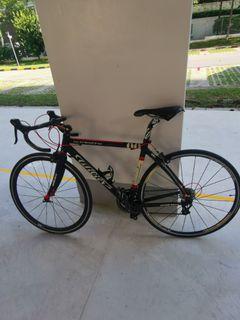 Wilier la triestina