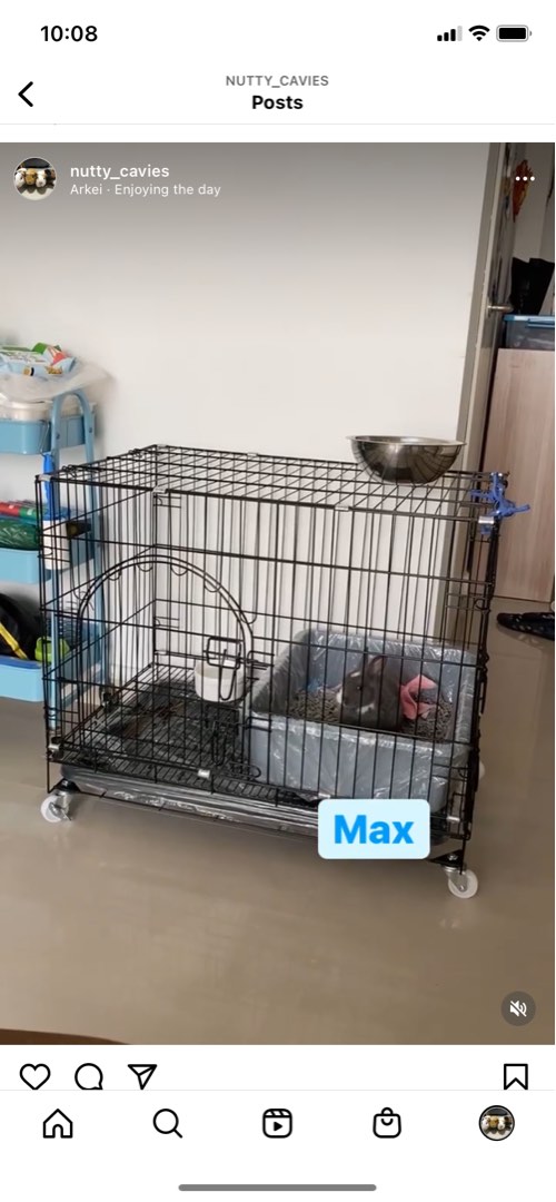 Cage with wheels for cats and small animals, Pet Supplies, Homes