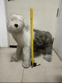 Cute large Sheep dog
