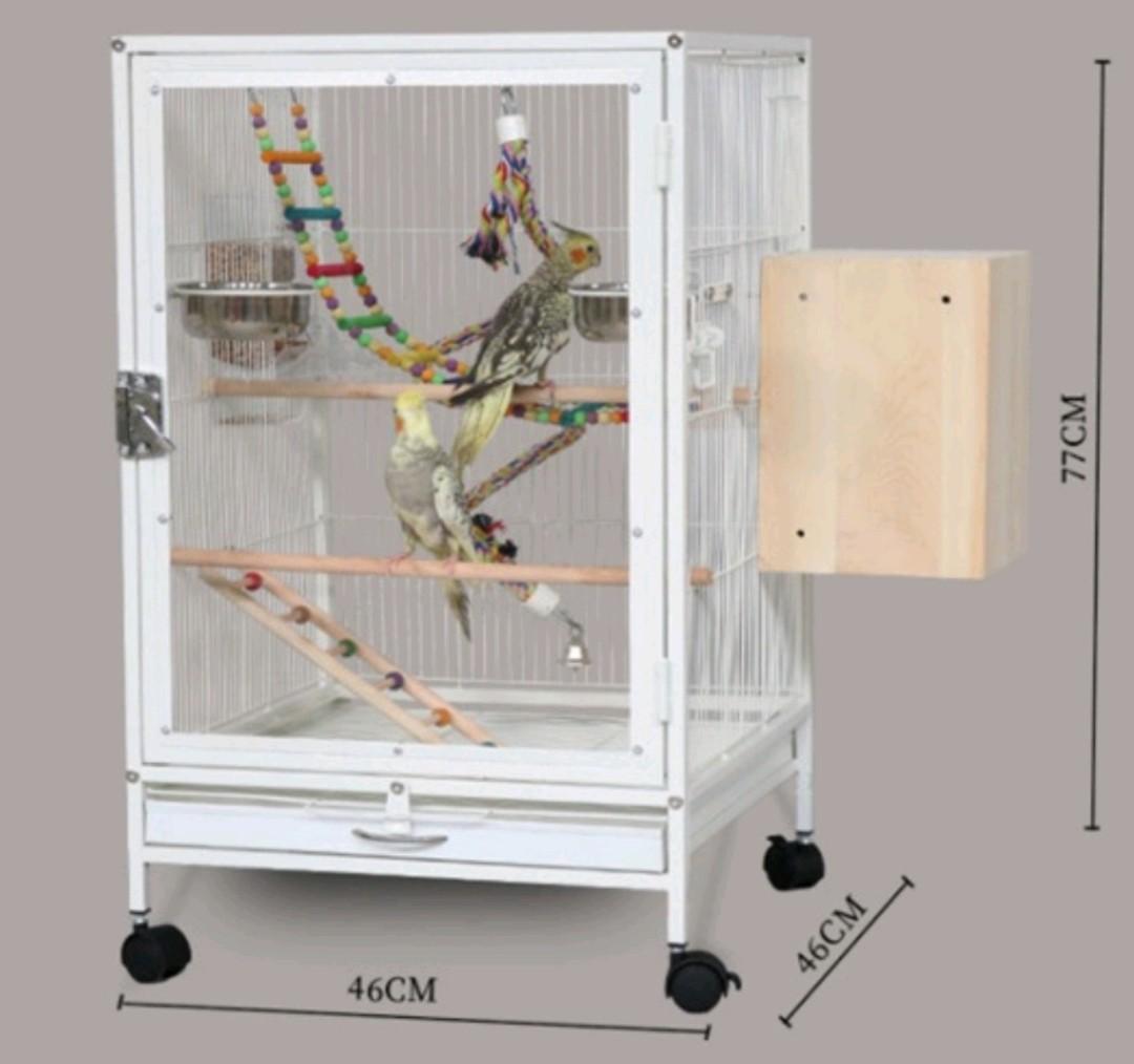 Used acrylic bird cage 2025