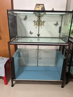 (Category: ) located in . Submitted by angusbeefhouse (Listing ID 1188005102, Image 1). Description: .