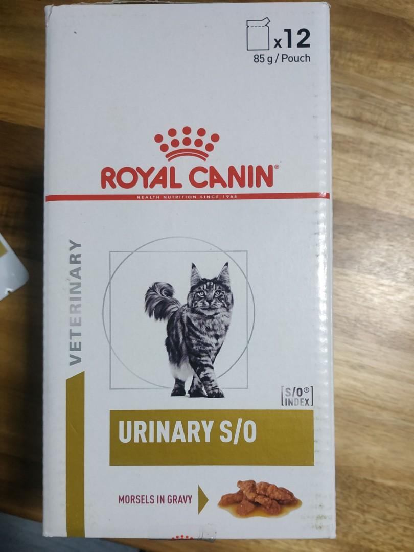 Royal canin s/o (expiry 2024), Pet Supplies, Pet Food on Carousell