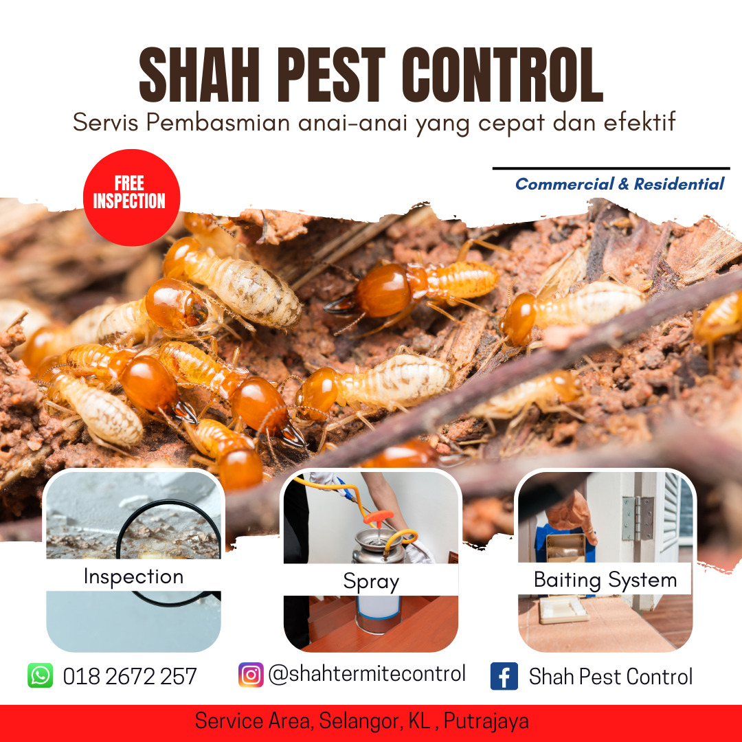 Servis pembasmian anaianai sekitar Lembah Kelang, Selangor., Services