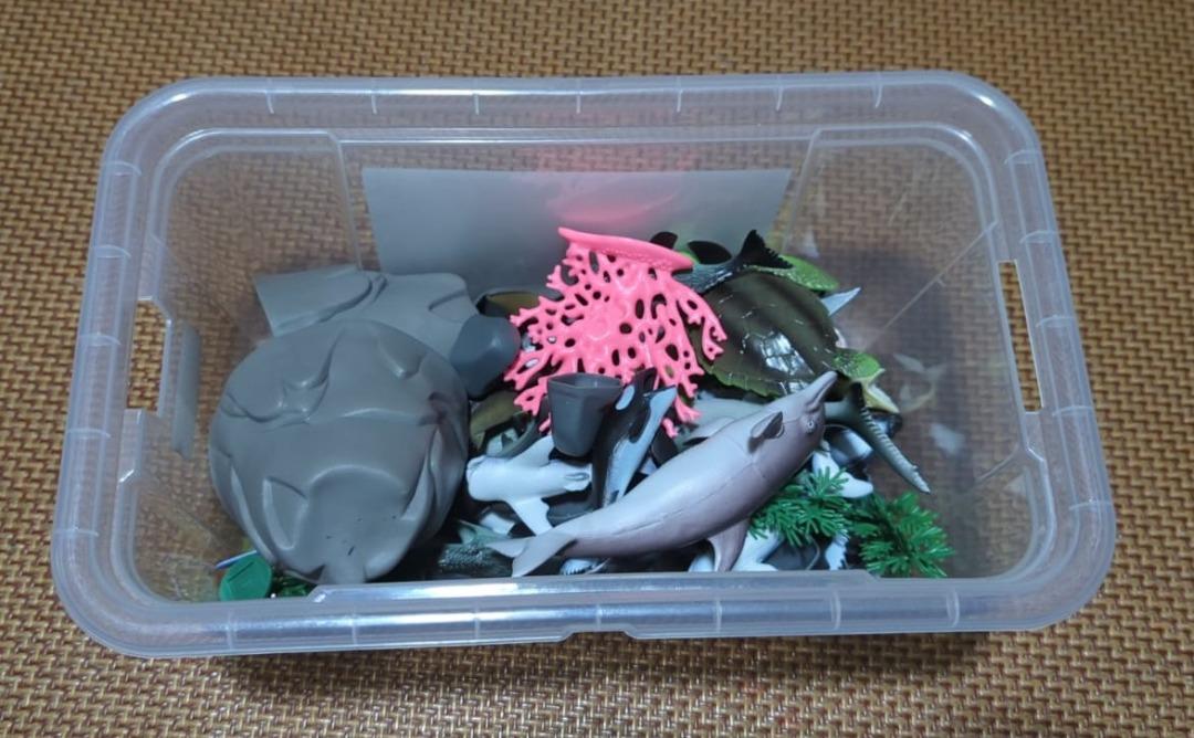 World Animal Collection Ocean Container (Toys R Us), Hobbies & Toys ...