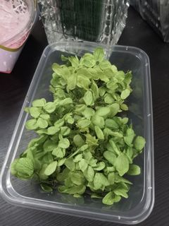 （分類：）位於 。 由 abloomingflower 提交（商品編號 1189878209，圖片 1）。簡介： 。