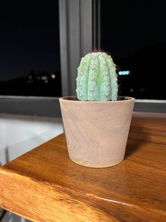 （分類：）位於 。 由 k.laplante 提交（商品編號 1189896762，圖片 1）。簡介： 。