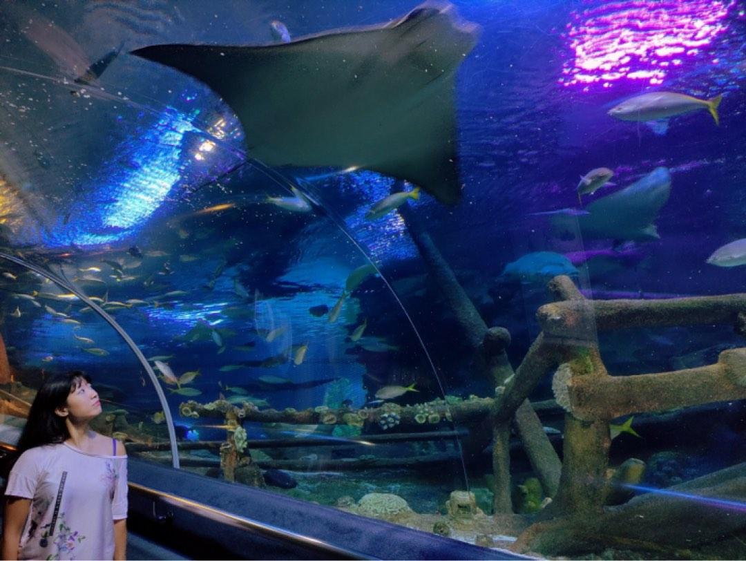 Aquaria KLCC Ticket in Kuala Lumpur (2 pax), Tickets & Vouchers, Local Attractions and Transport