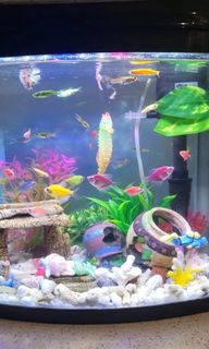 (Category: ) located in . Submitted by urtruly (Listing ID 1189790018, Image 1). Description: .