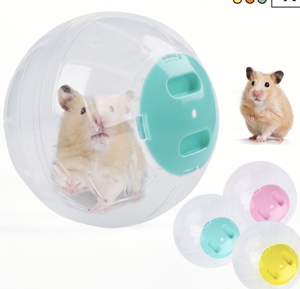 Hamster Ball and Bathroom large, Pet Supplies, Homes & Other Pet