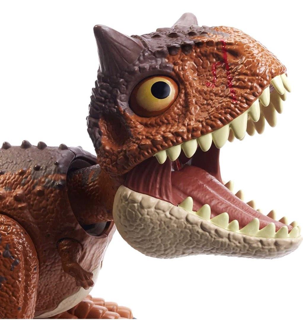 carnotaurus tooth for sale