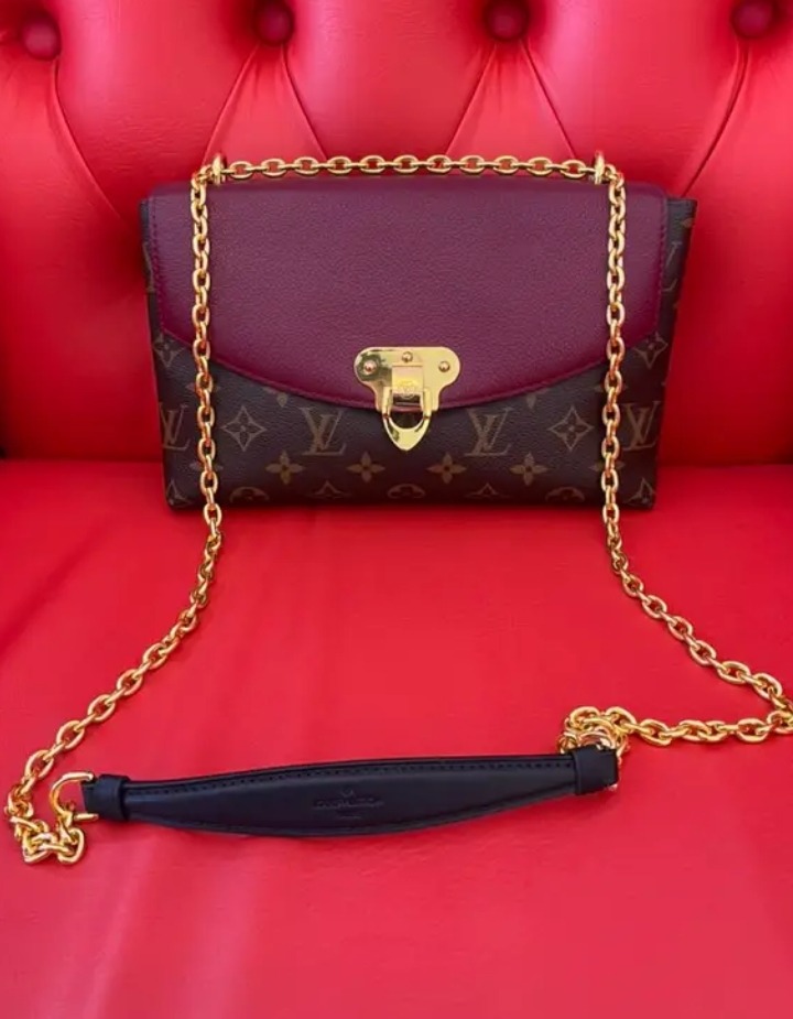 Louis Vuitton Aurore Monogram Coated Canvas Pallas Chain Bag 2014 – My  Girlfriend's Wardrobe LLC
