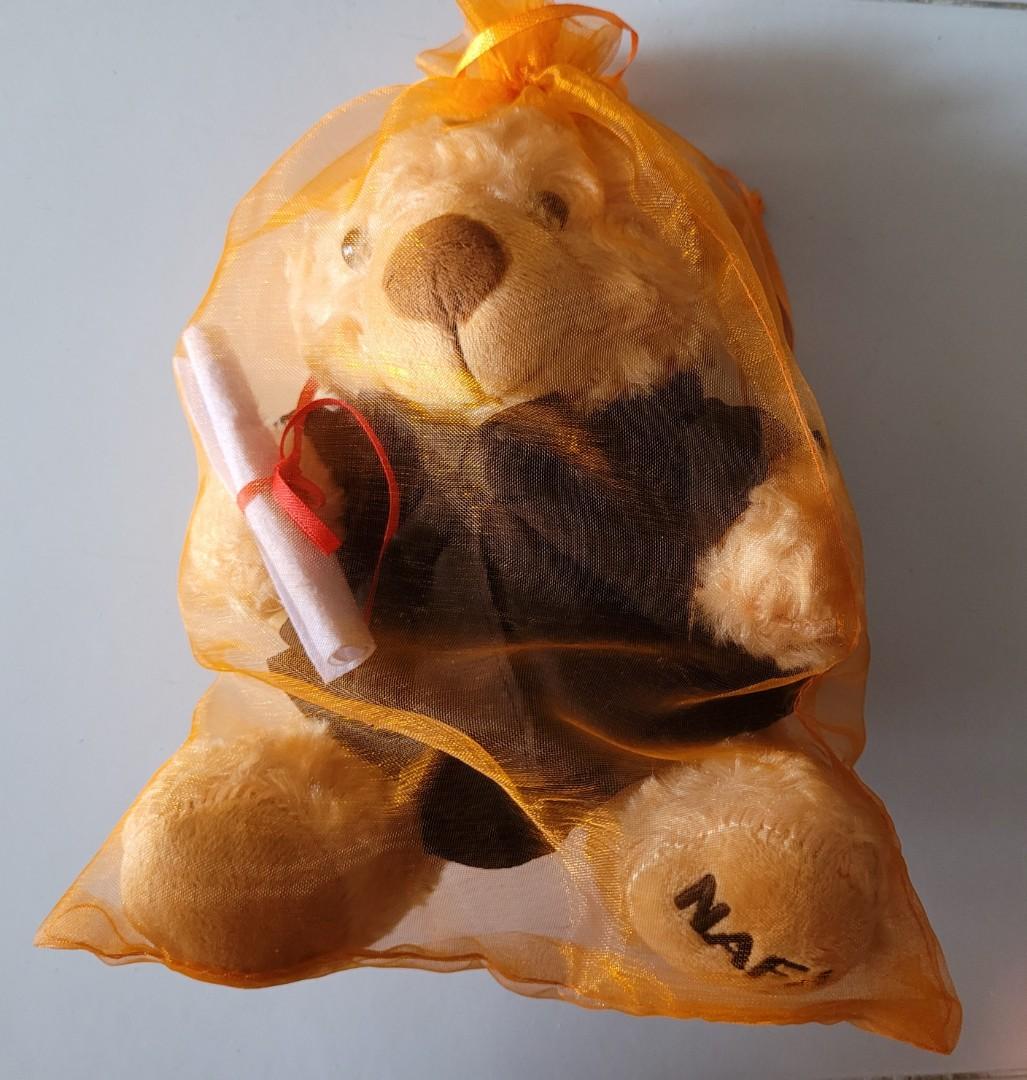 NAFA Graduation Bear Nanyang Academy Of Fine Arts, Hobbies ...