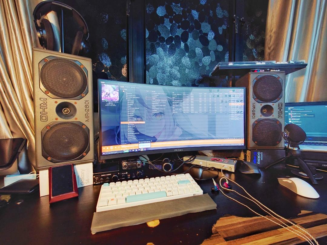 OHM MR260i Monitor Horn Speakers Audiophile HiFi Quality Studio