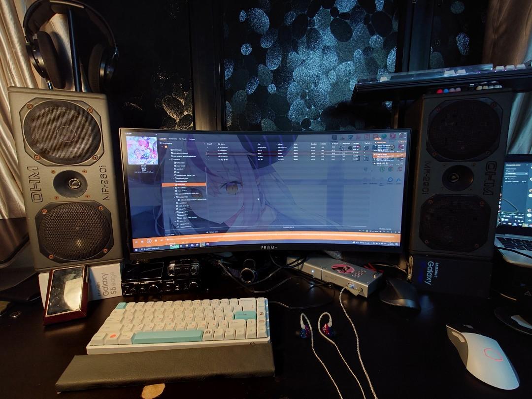 OHM MR260i Monitor Horn Speakers Audiophile HiFi Quality Studio