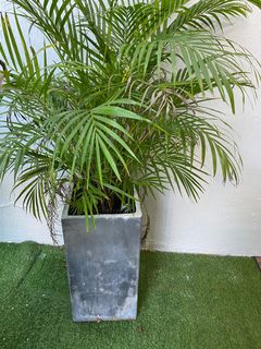 （分類：）位於 。 由 cw168 提交（商品編號 1189739960，圖片 1）。簡介： 。